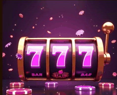23 bet com